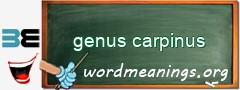 WordMeaning blackboard for genus carpinus